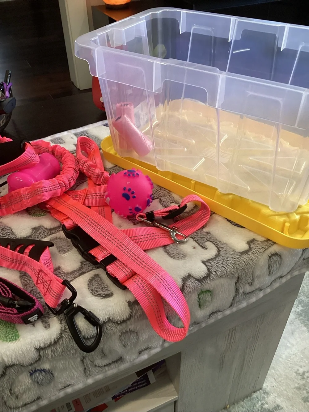 NWOT - Hot Pink Water & Food Btle w/Blk Strap, Leash, Car Restraint, & Collar!!!